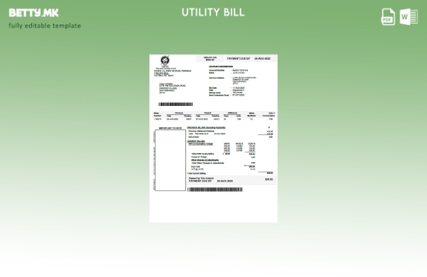 Модерен стил Шаблон за комунални сметки од Комисијата за електрична енергија во 
